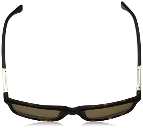 Dark Havana Light Gold & Bronze Polarized