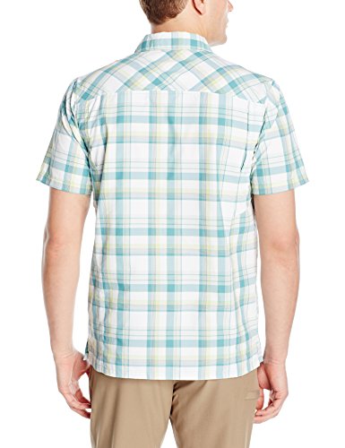 Teal Plaid