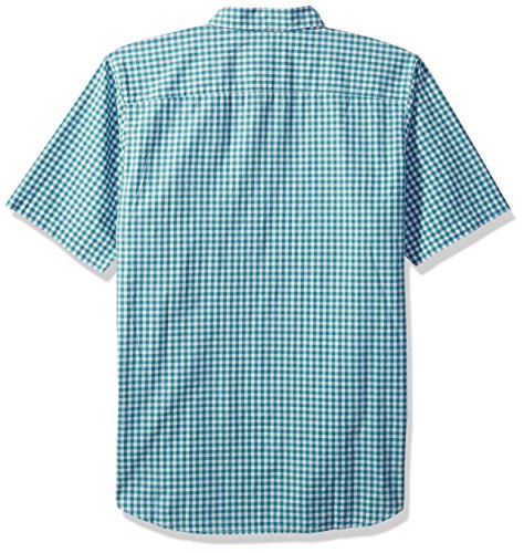 Teal Gingham