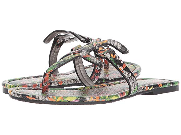 Bright Multi Blooming Cactus Shiny Burmese Python