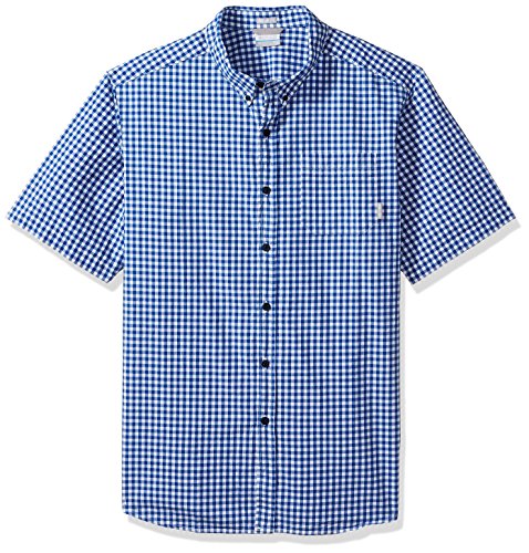 Azul Gingham
