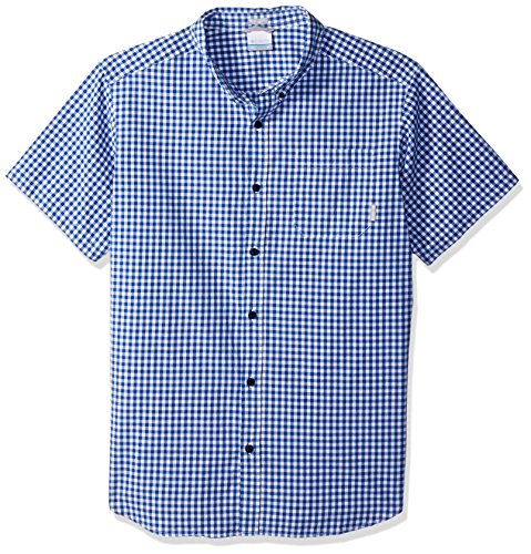 Azul Gingham