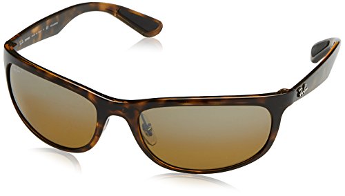 Tortoise Frame