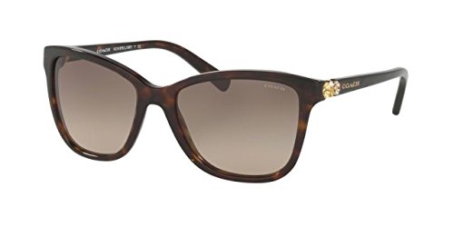 Dark Tortoise / Smoke