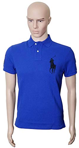 Blue With Black Pony