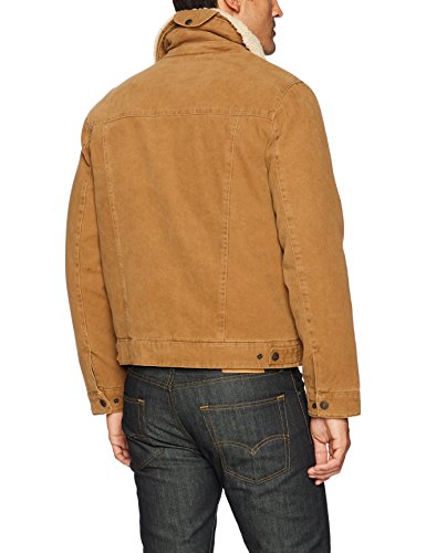 Workers Brown