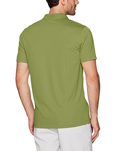 Palm Green/White