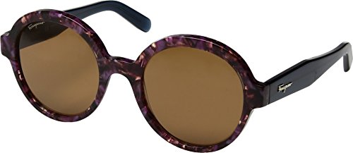 Purple Havana/Solid Brown