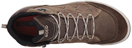 Birch/Navajo Brown