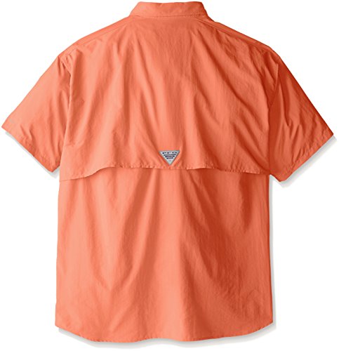 Bright Peach