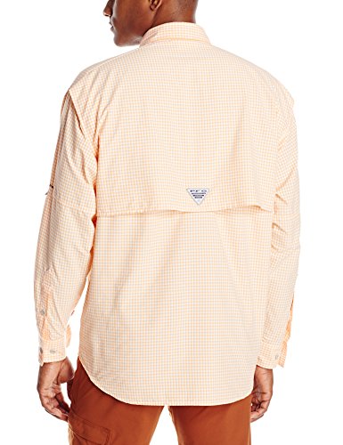Koi/Gingham