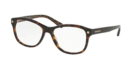 Dark Tort / Dark Tort Gold Sig C