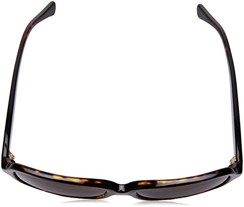Dark Tortoise