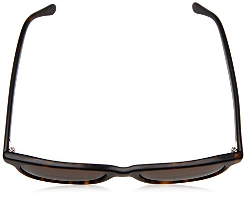 Vintage Dark Havana / Brown