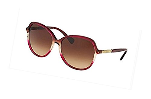 Burgundy Gradient / Burgundy / Brown Gradient